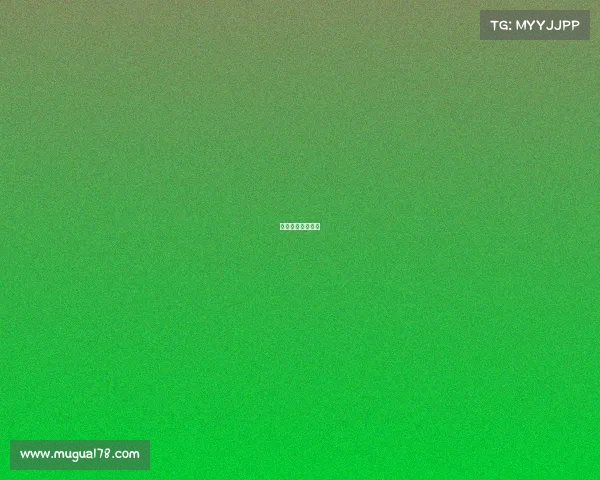 武网赛事央视直播